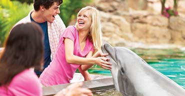 12 Essential SeaWorld San Diego Tips for Families