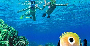 The Best Beaches to Snorkel in Kauai
