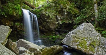7 Easy Hikes in The Great Smoky Mountains