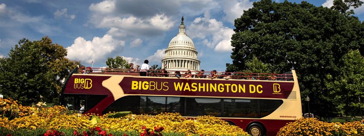 Big Bus Tours Washington D.C. in Washington, District of Columbia