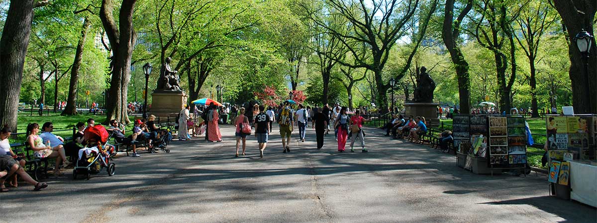 Central Park Walking Tours in New York, New York