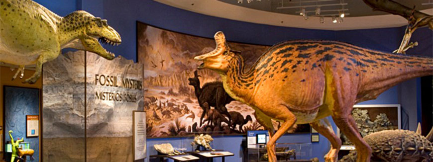 San Diego Natural History Museum in San Diego, California