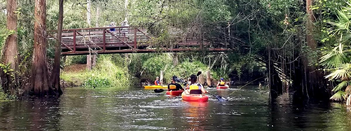 Shingle Creek Guided Kayak Adventure with Lunch in Orlando, Florida