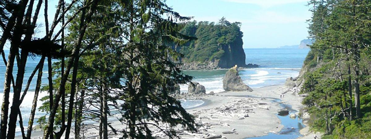 Visit Olympic National Park on a Private Day Trip in Seattle, Washington