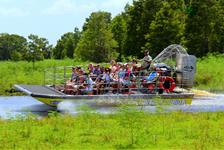 Wild Florida Airboat Ride with Transportation in Orlando, Florida