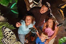 Butterfly Palace & Rainforest Adventure in Branson, Missouri