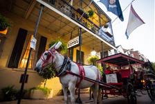 French Quarter Carriage Tours - New Orleans, LA