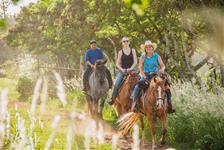 Gunstock Ranch Horseback Rides - Kahuku, HI