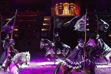 Medieval Times Dinner and Tournament Georgia in Lawrenceville, Georgia