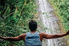 Nature and You: Oahu Waterfall Hiking Tour with Lunch in Honolulu, Hawaii