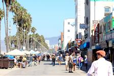 Private Biking Tour from Santa Monica to Venice Boardwalk in Santa Monica, California