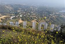 Private Hike to Mt Hollywood in Los Angeles, California
