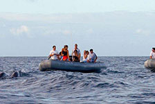 Kauai Sea Tours - Whale Watch Discovery Tour in Eleele, Kauai, Hawaii