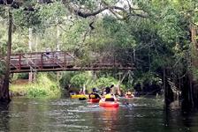 Shingle Creek Guided Kayak Adventure with Lunch in Orlando, Florida