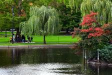 Visit Boston and Cambridge: Full Day Private Driving Tour in Boston, Massachusetts