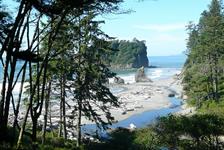 Visit Olympic National Park on a Private Day Trip - Seattle, WA