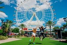The Wheel at ICON Park - Orlando, FL