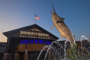 Johnny Morris' Wonders of Wildlife National Museum & Aquarium in Springfield, Missouri