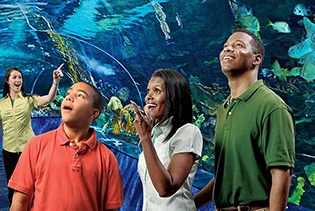 Ripley's Aquarium of the Smokies in Gatlinburg, Tennessee