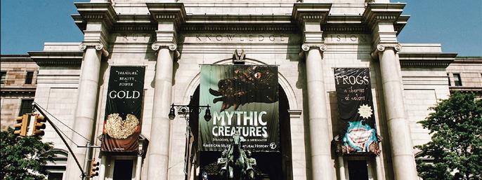 The Met & Museum of Natural History Skip-the-Line Tour in New York, New York