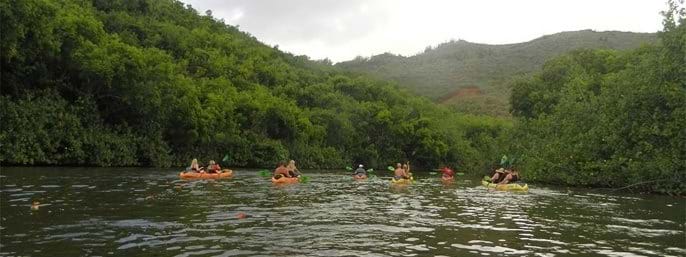 Rainbow Kayak Tours of Wailua River - Kauai in Kapaa, Kauai, Hawaii