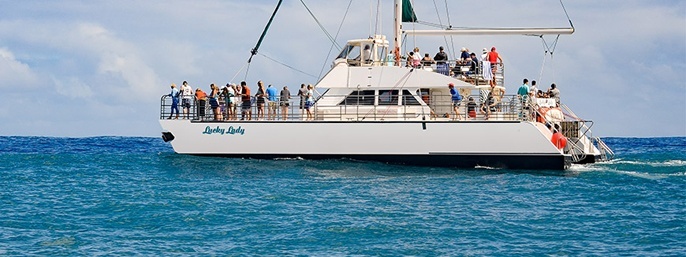Kauai Sea Tours - Whale Watch Catamaran Cocktail Cruise  in Eleele, Hawaii