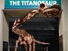 The latest must-see exhibit at the Museum: The largest dinosaur ever discovered, a cast of a 122-foot-long titanosaur. (included with admission)