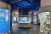 Discover the Bay - Aquarium of the Bay in San Francisco, California