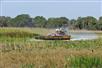 Boggy Creek Airboat Rides in Kissimmee, Florida