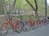 Central Park Bike Rentals in New York, New York