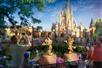 Walt Disney World® Resort in Orlando, Florida