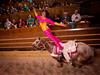 Trick Ride - Dolly Parton's Stampede Dinner Attraction in Branson, Missouri