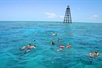 Several tour participants snorkeling in the clear water with Fury Water Adventure in Key West, Florida.