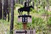 Equine trail marker. - Guided Horseback Trail Ride in Clermont, FL