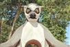 Lemur - at the Houston Interactive Aquarium and Animal Preserve