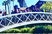 More Instagram-worthy picture stops through the Venice Canals