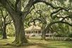 Laura Plantation: Louisiana's Creole Heritage Site in Vacherie, LA
