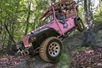 Pink Jeep Tours in Pigeon Forge, Tennessee
