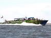 Sea Thunder- Myrtle Beach Dolphin Cruises in North Myrtle Beach, South Carolina