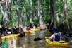 Kayakers paddling around the trees on the Shingle Creek Kayak Adventure.