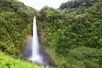 Waterfall - Akaka falls Hawaii, Big Island. Famous Hawaiian waterfall in slow exposure and good detail.