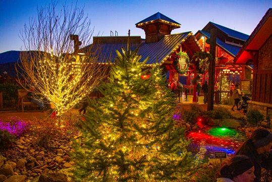 Stroll through magical villages - Enchanted Winter celebration at Anakeesta in Gatlinburg, Tennessee.