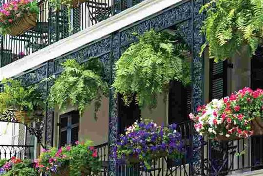 Big Easy Strolls - A French Quarter Tour For Matures - New Orleans, LA
