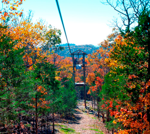 Fall is a beautiful time to zip with us