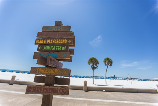 Clearwater Beach Adventure with Lunch