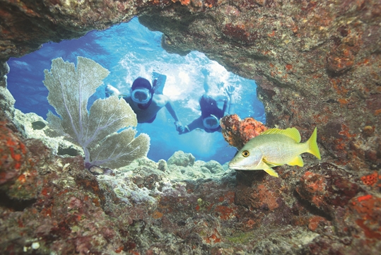 A couple of people snorkeling through a reef with Fury Water Adventure in Key West, Florida.