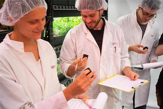 Classes are interactive! - Introduction to Hydroponics & Indoor Farming Class at Farm.One in New York, NY