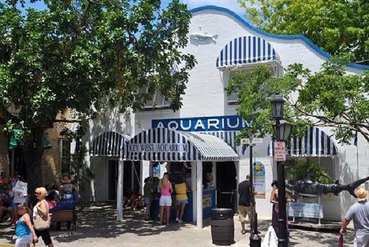 Key West Aquarium in Key West , Florida