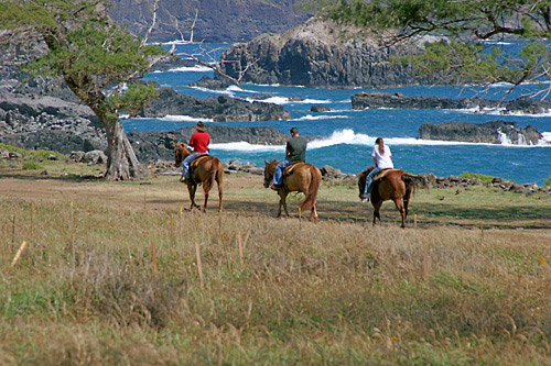 Mendes Ranch and Trail Rides in Wailuku, Hawaii