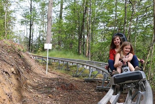 Rowdy Bear Coaster at Rowdy Bear Mountain in Gatlinburg, Tennessee